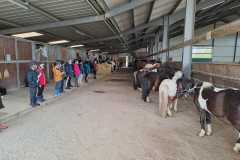 014d41e9-5528-432d-b16e-c3b7aceb3a5d