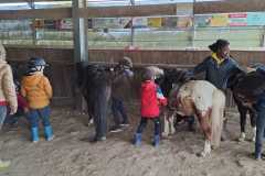 6240016f-4ed1-4510-a26c-58825b9d381d