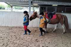 b1e7bc33-14ba-4c41-af54-41b50807b6e3