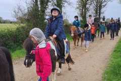 cfc558a3-c09a-40c7-80a5-fc8707e8f87a