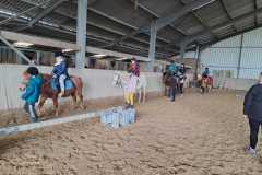 d7a3490e-bcab-47db-9ecc-23834d5152bc