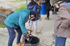 f10386d3-29c1-4911-ae60-7f77b61cba3c