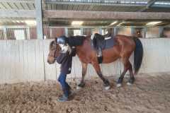 50a2e161-69ca-4e2e-8323-4421716d0ca6