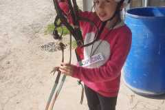 f679a6e1-6cbc-4b2a-ba55-b619b14e5ce3